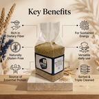 Pearl Millet \ Bajra  (બાજરો)