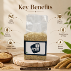 Sorghum Jowar (જુવાર)